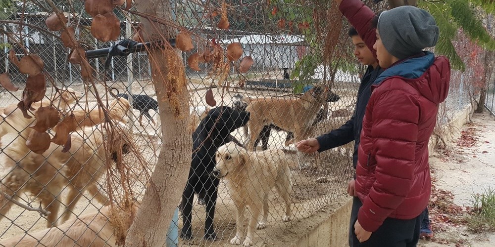 Mersin Gozne Hayvan Barinagi Ziyareti